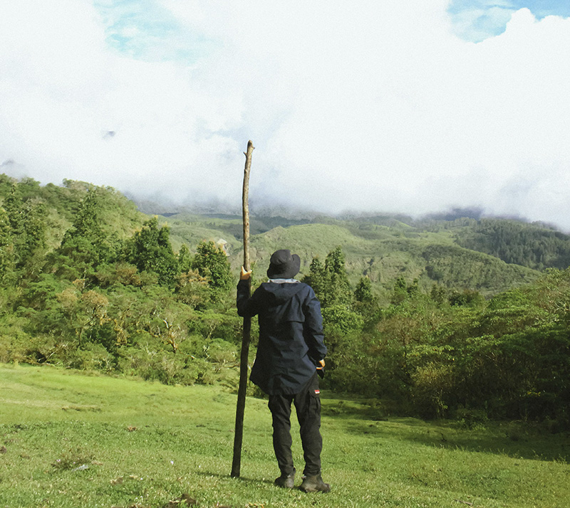 Foto oleh Rocky Gendu: https://www.pexels.com/id-id/foto/pemandangan-lanskap-lansekap-pohon-18015484/